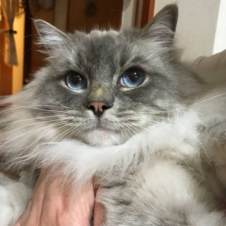 530e587a 2b01 487a aecd bcfe8ee866ba 1524308928014