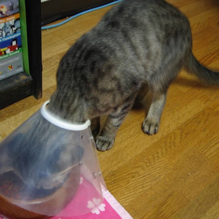 530e7be7 1fe3 4ef6 8422 fcd73a0f48ef 1556167393430