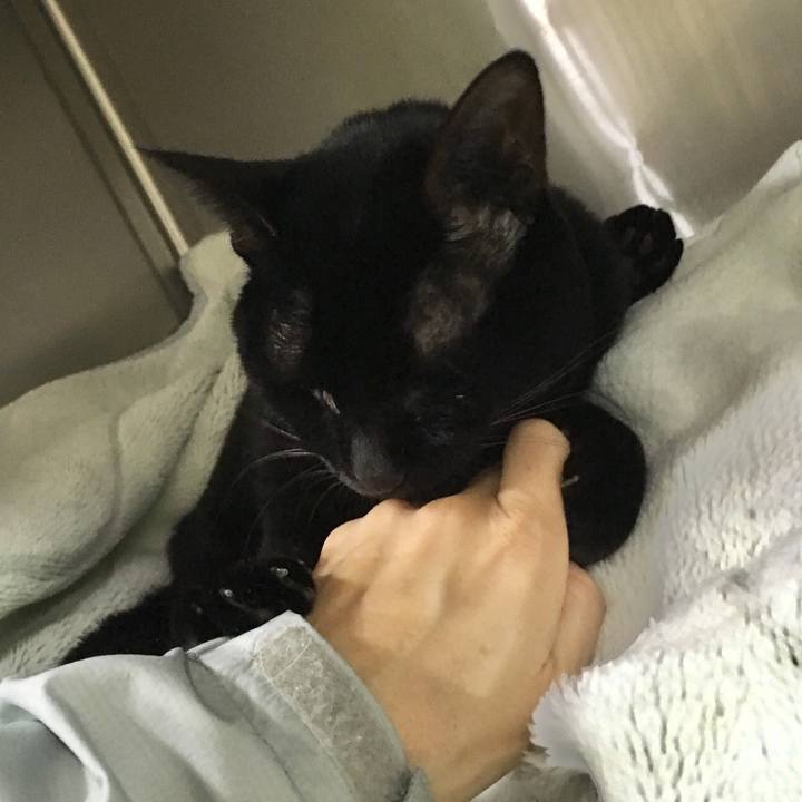 530ecac1 a531 4e70 a703 0e3ae97dab39 1512278868953