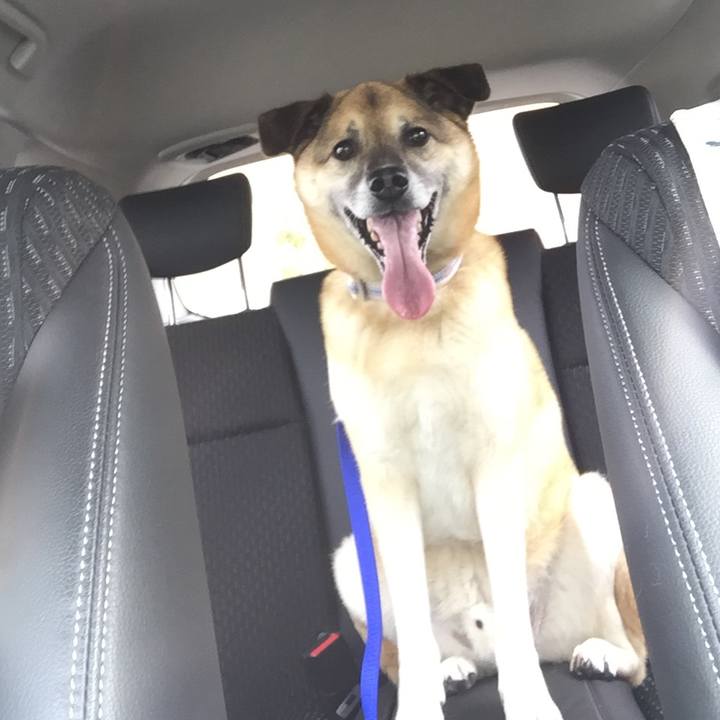 530ecd5d 290e 48d6 9c2f f6b64bf85ec6 1525748852169