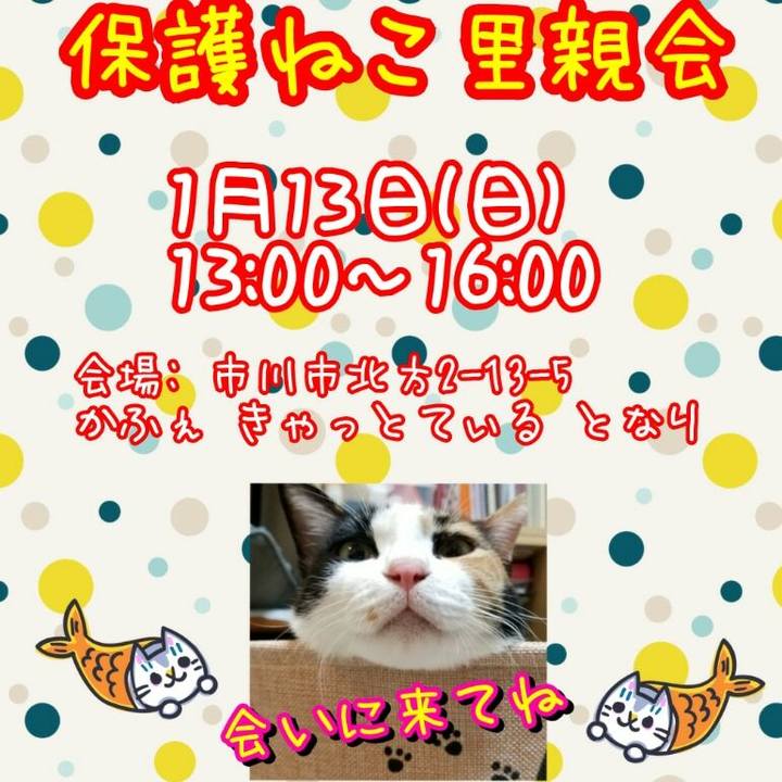 530ee557 6716 480f b1e4 8952a5b051be 1547117669706