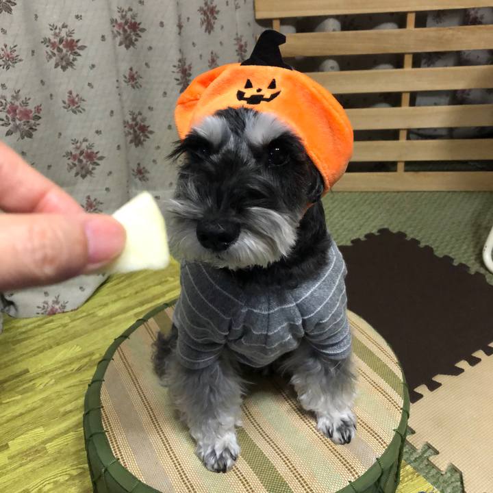 530f4085 1086 4cc7 83c5 26f5f4c4027d 1698746153145