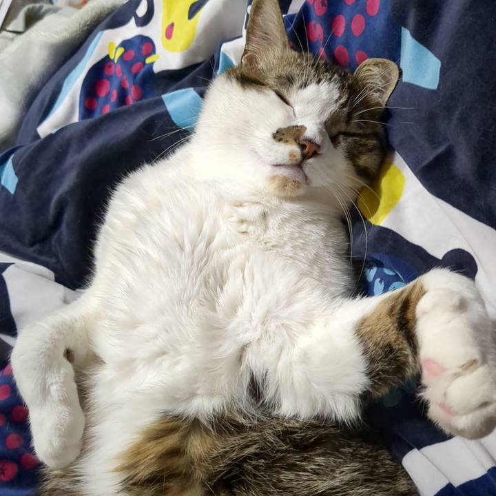 530f7356 01e6 4fe8 9666 a889aecdb54b 1671894163930