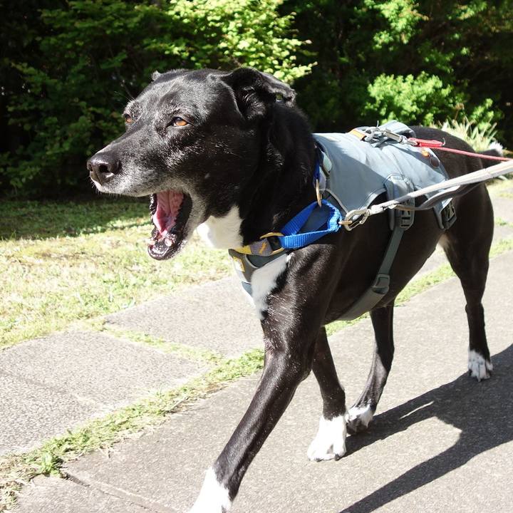 530f9c0a 78ca 4e82 93f4 78628657f193 1745972703312