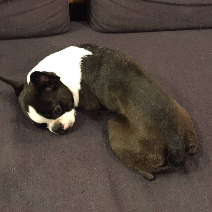 530faa2b 78f5 425a 88ec 6fb8be2cb558 1516576579170