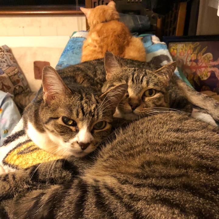 530fb4a2 5e52 4453 9355 98191e673fd7 1562595628097