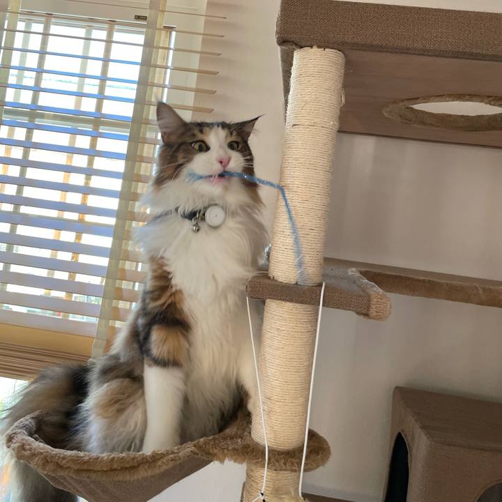 530ffc47 cad7 48ee a9c7 fe2ee8abe0d1 1653859443497