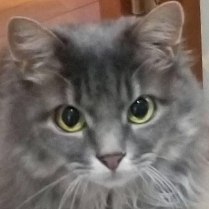 53105bef 5399 4886 8cad a2df326a5e1e 1567209406973