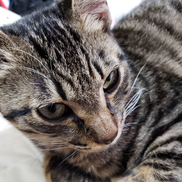 53106e0d e5de 4d3c 8520 9f745b005322 1542281904892