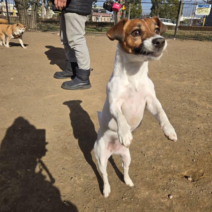 53106f52 0032 481e 980d 5b32bbc2f47a 1768125429350