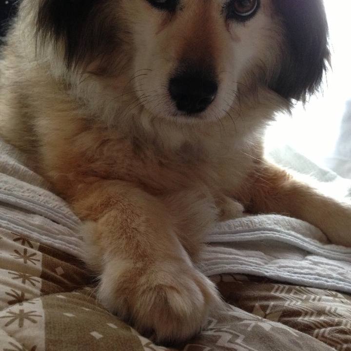 53107fc6 6d1f 4f78 a11d da83504e0d03 1593985435861