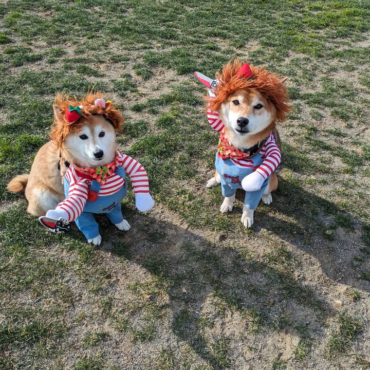 531094e1 ef0a 4eff 97aa 7bd824be14f6 1707702903904