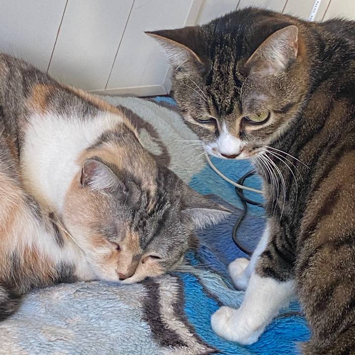 53109b06 935b 4d1b bd69 1684b7c98897 1578634320892