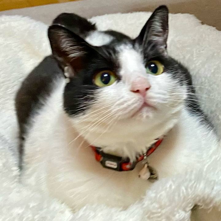 5310a5f2 1a40 4e7b b711 e1ff6c86b193 1728691988697