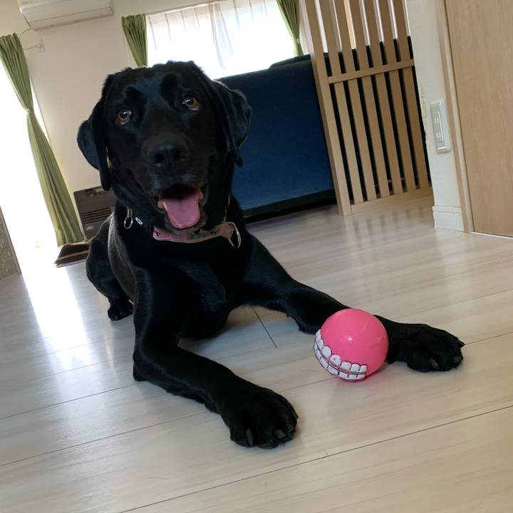 5310a934 f83d 497c 8ed6 00e5cbef58c8 1585961260264