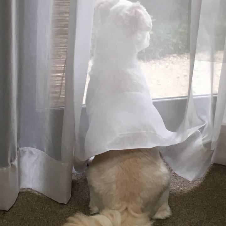 53111c77 2915 40d1 8340 88345d21e82c 1530772445435