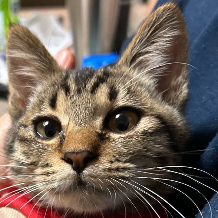 53114600 c79b 48df b8e8 0ef90826473a 1730543361778