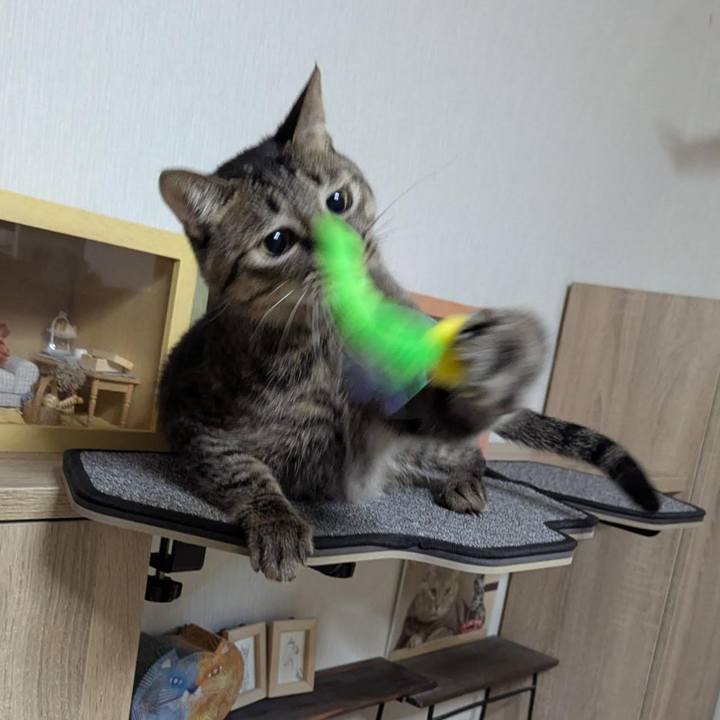 53115108 5b45 4ac3 9dc9 1292cca2ec8f 1762242358209