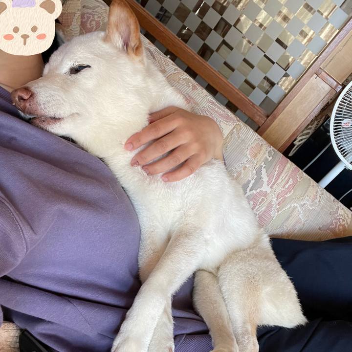 5311b055 cf37 43ba 9bca a7fed292329b 1640840550405