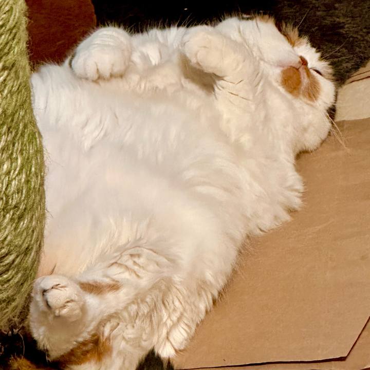 5311d896 f66c 49e8 b36e 7928e11c029f 1702513417905