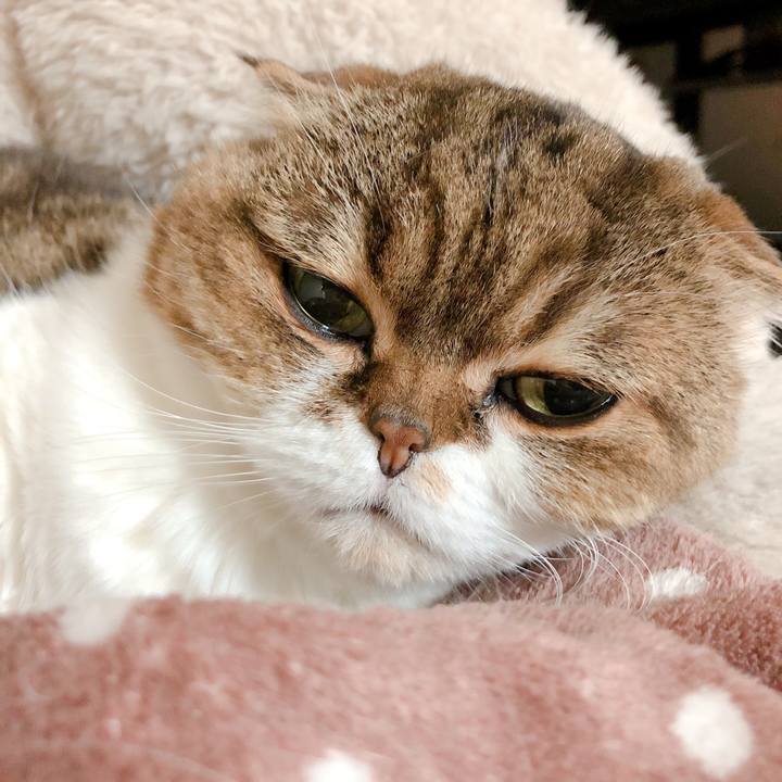 53122ef5 0c46 4fd9 87f9 3e77ba748353 1583024087917