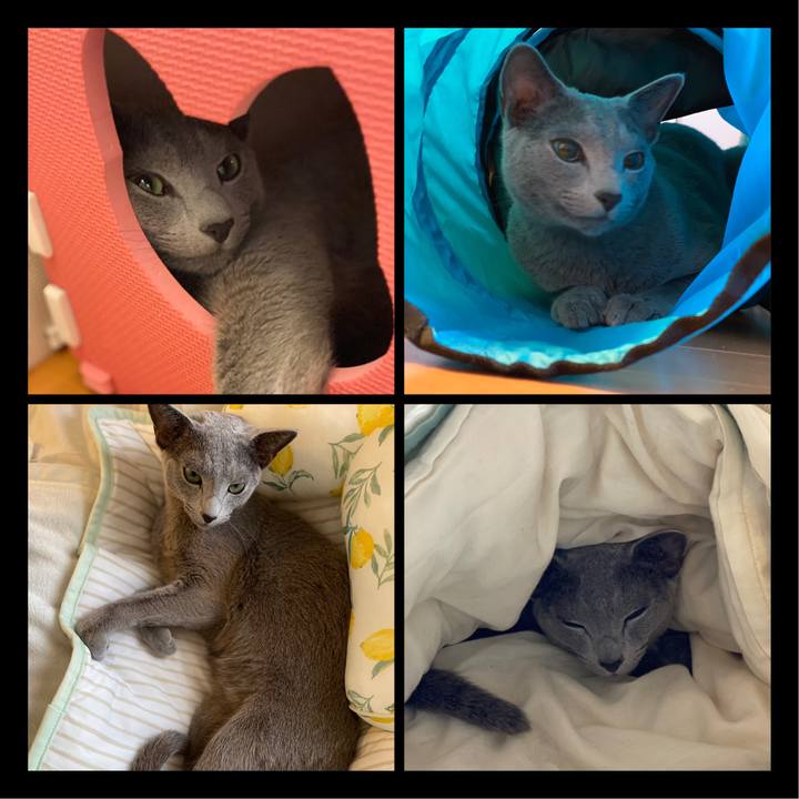 5312309d 8650 4a3e bd8a 54c936158e03 1627981788888