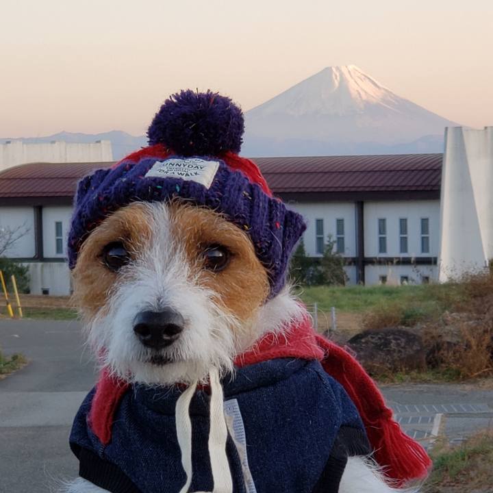 5312512c 0cfd 4837 9ebb bc046ae97730 1575106090424