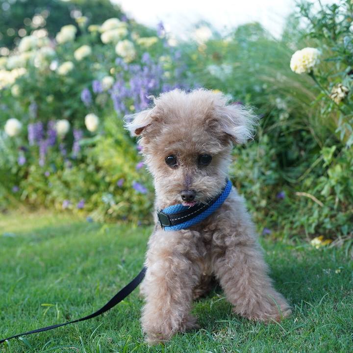 53125917 6d88 4c92 a658 6c94f7859a51 1699879496724