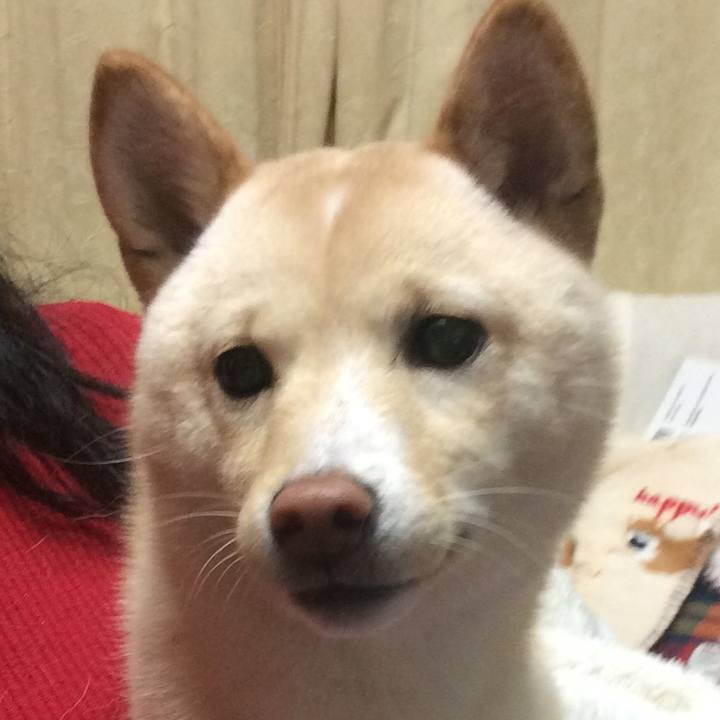 53125bf0 7198 4c39 a492 d227b5c0391f 1514203398394