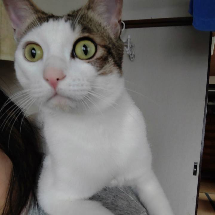 531263b4 644f 48f8 b2cb d85de5e6e3aa 1682812828820