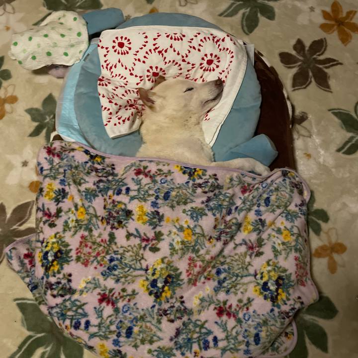 5312e105 dd4a 4fe7 b9eb 6da9ad4e03d7 1675710717115