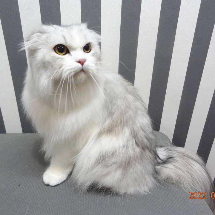 531334dc 6ce7 4a5e a331 c4004a933e1f 1655072244598