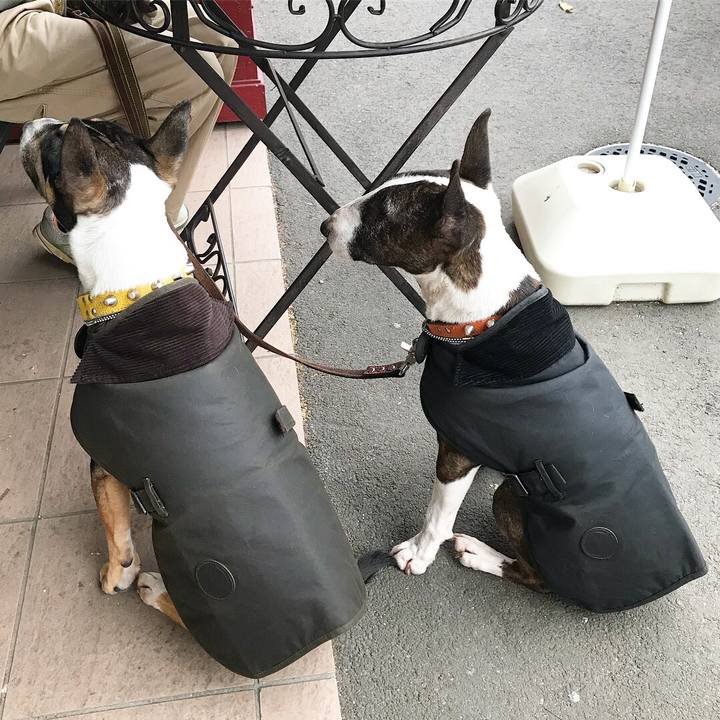 5313406d 4792 480e aa1e a1fc9364ce80 1519548401929