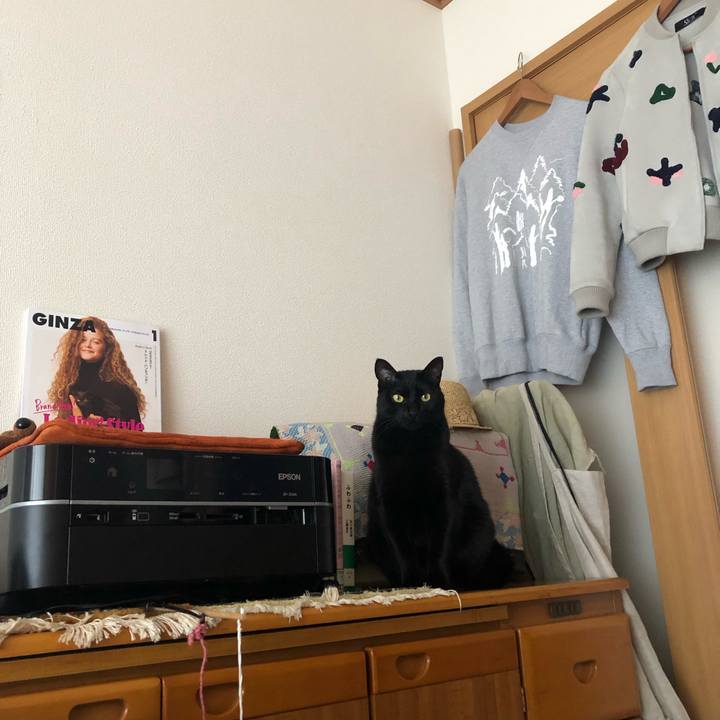 5313442a ba79 4475 ab35 b892ac507361 1552780129412