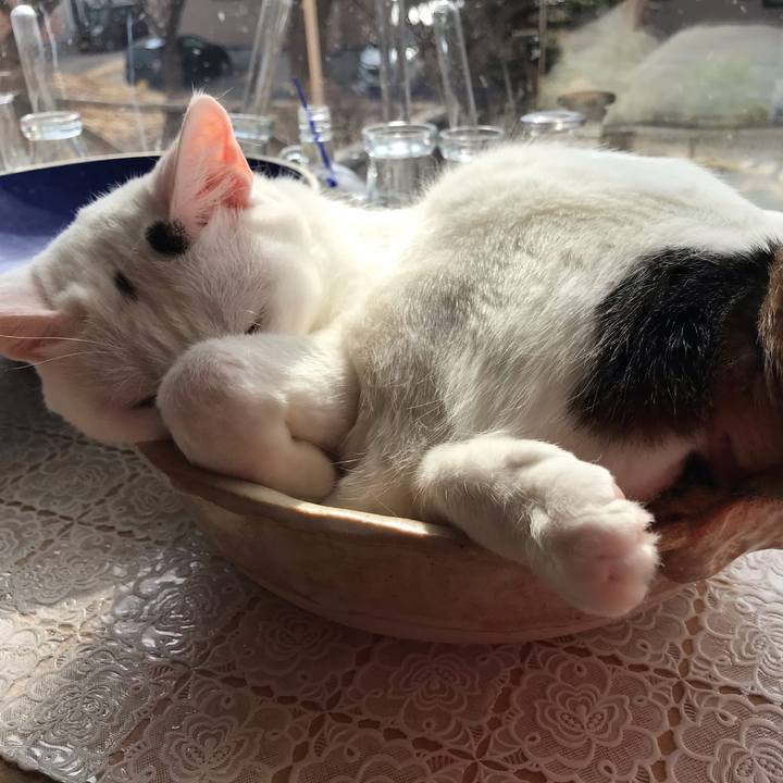 5313614c a75d 4f62 af09 f8789426c446 1617836686107