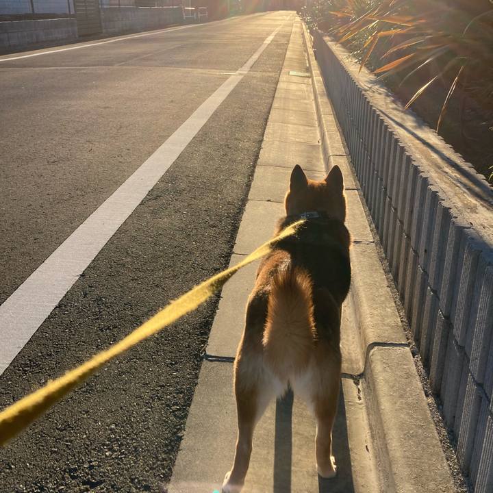 53138662 71df 493e 9b2f 72653ac0eb40 1642664384272