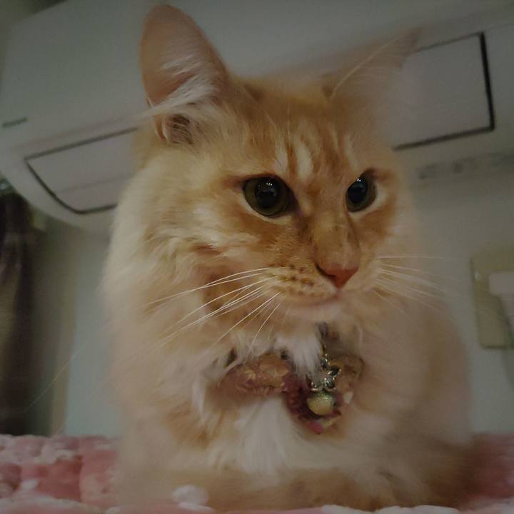 531386ff 5ba8 4ba6 ba8c 363dbc1eb1b5 1702244024332