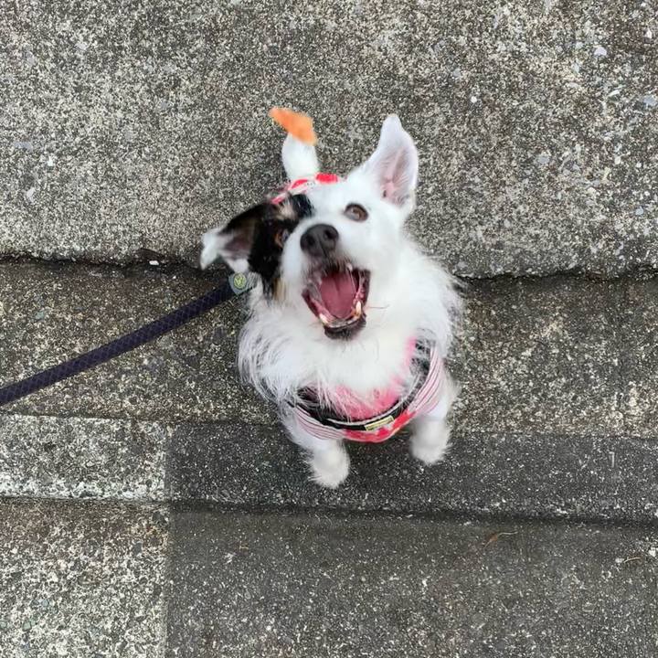 53139902 79a6 40ad 8a38 d8f4044b73a8 1708217558037