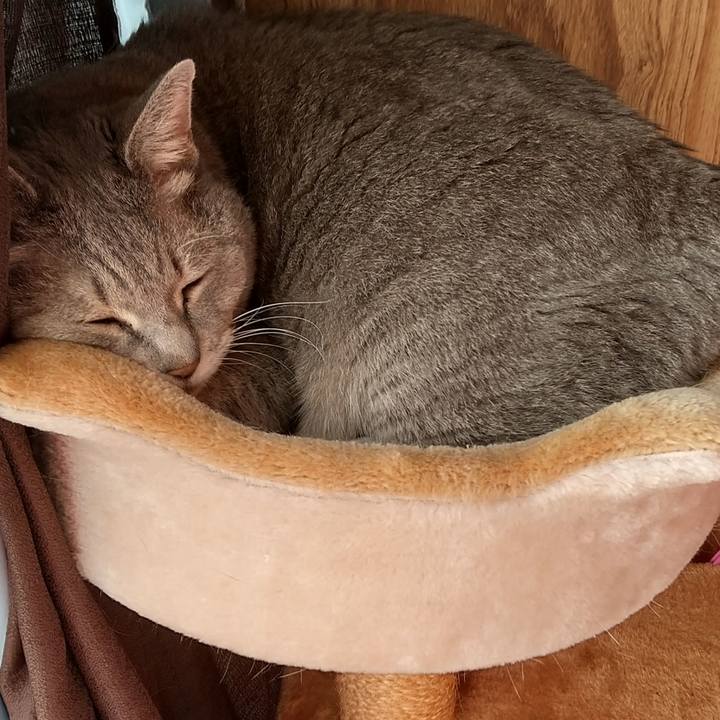 5313b687 4a6f 4f47 9a26 1956fba9b6c7 1635829570551