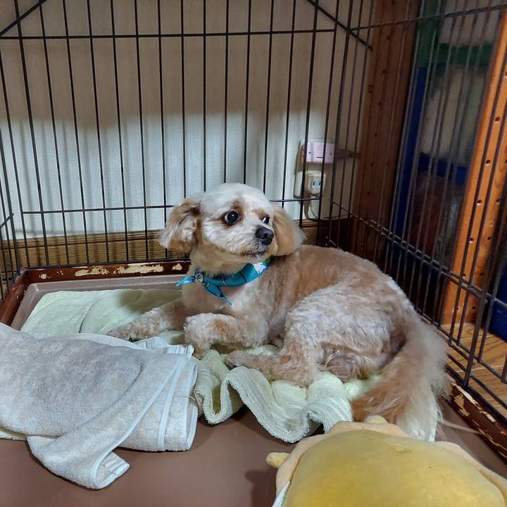 5313e3d3 12fe 4d00 aa70 cf6f8c11c143 1624805661353