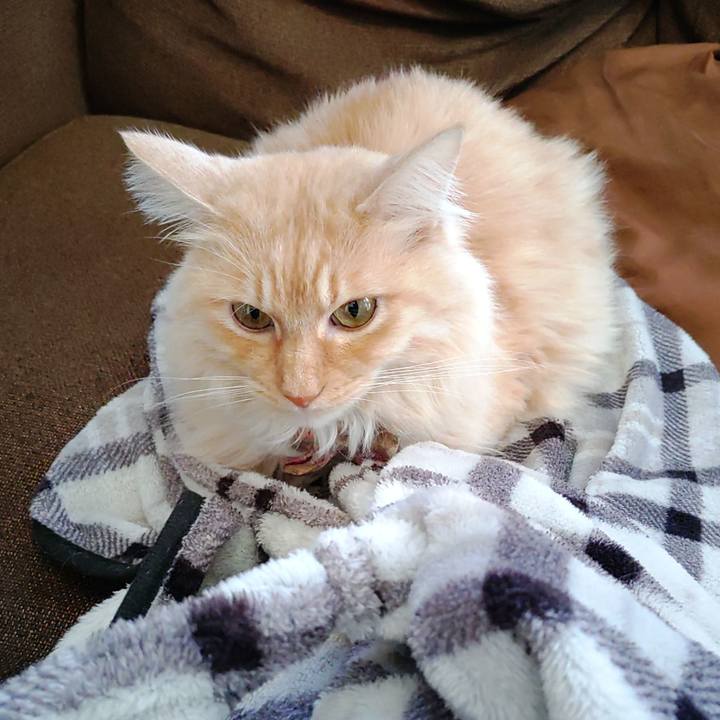 53141b14 e719 4407 8fe8 a126f62ec9fd 1702698056374