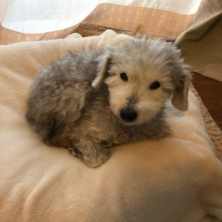 53143201 c18d 4aa7 9188 0d1bb10d1460 1643848363315