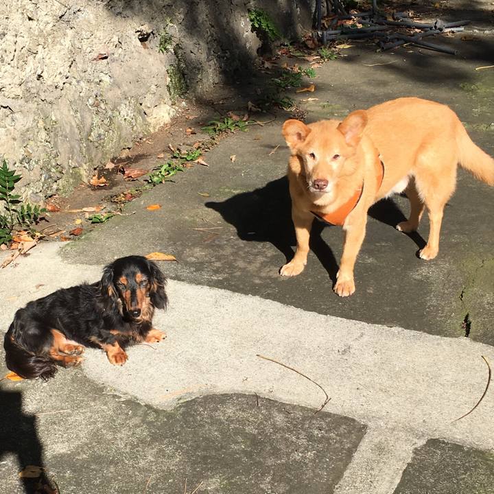 53145a0e 4ce5 4ce0 bd82 718660a42a5b 1540461231973