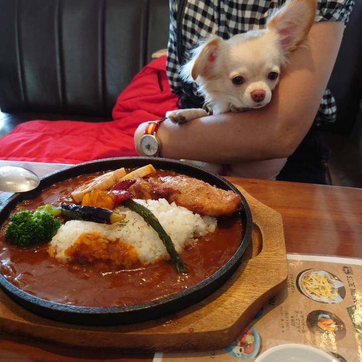 531496e9 08ef 485a bcaf 0c6cd78af886 1634020206870