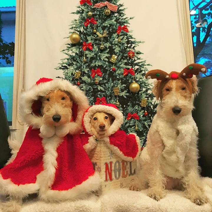 5314b358 a0a0 4b69 b601 c6c0e86ced3b 1513221044632