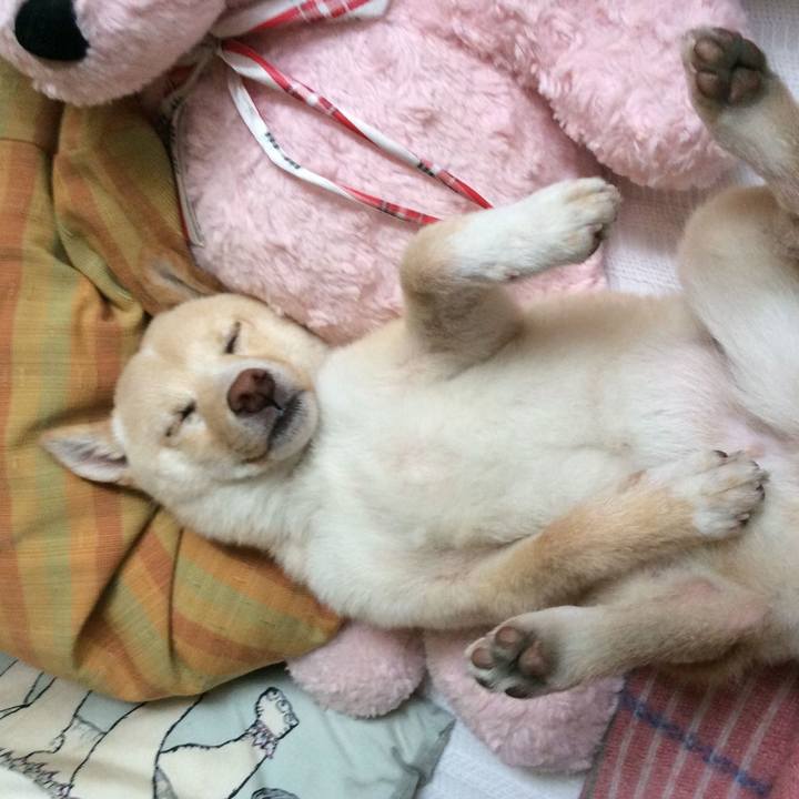 5314cad2 1a1d 4c43 9044 3c66a49be8e6 1538889591225