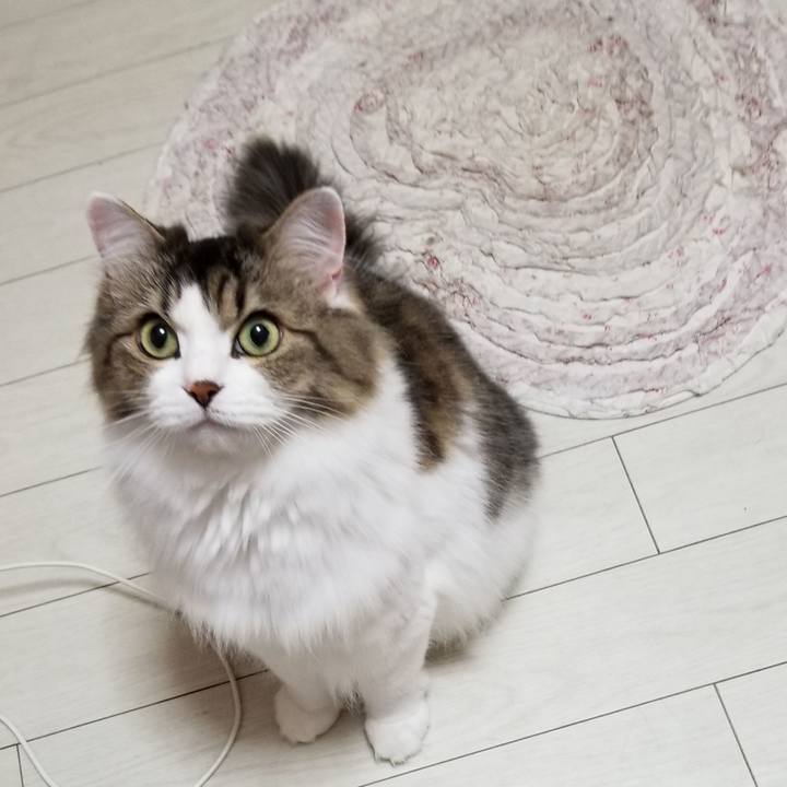 5314cfcc 37e1 4175 a907 dc393944453b 1541023103295