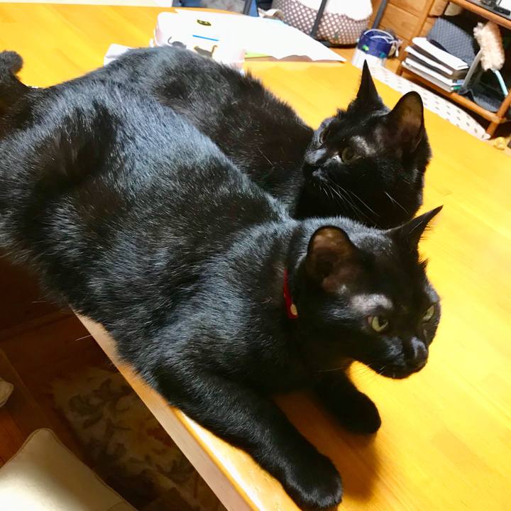 5314d31c 6217 476d a4e1 bdd61b3a336b 1507810561312