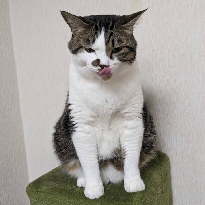 5314fe98 2202 4b68 9394 dda6480387f1 1691883275186