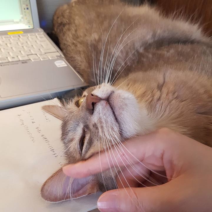 53150e61 a150 41f5 a2d2 cb1b5cc987d2 1593150614754